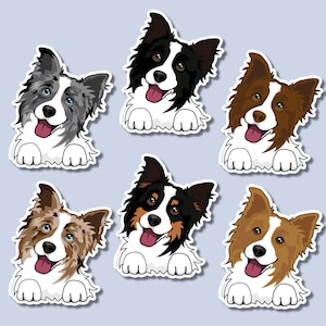 Aufkleber Border Collie für Border Collie-Liebhaber Wasserflasche Aufkleber für Border Collie-Besitzer Niedlicher Hundeaufkleber Border Collie Geschenk Laptop Aufkleber
