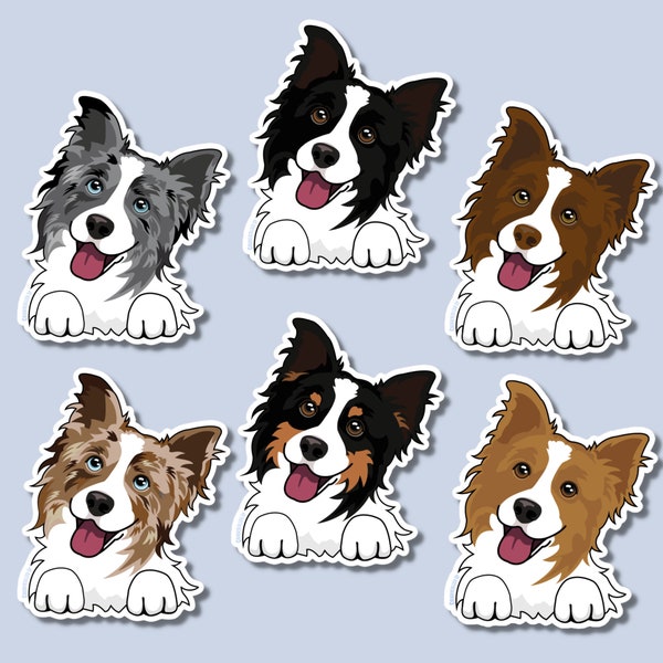 Sticker border collie pour amateur de border collie sticker bouteille d'eau pour propriétaire de border collie sticker chien mignon cadeau border collie sticker pour ordinateur portable