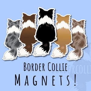 Border Collie Magnet Border Collie Car Decal Border Collie Gift For Dog Lover Car Sticker Border Collie Car Sticker Border Collie Gift