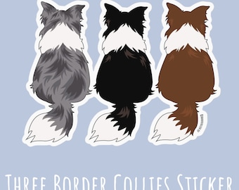 May include: Three border collies sitting back to back, with grey, black, and brown fur. The dogs are facing away from the viewer, with their tails curled up behind them. The image is a sticker with the text "THREE BORDER COLLIES STICKER" at the bottom.