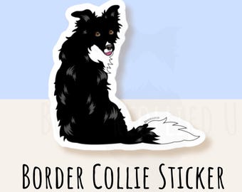 May include: Black and white border collie sticker with a white background. The dog is looking back over its shoulder.