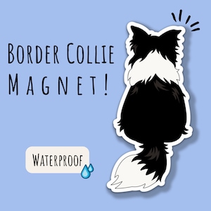 Border Collie Magnet Border Collie Car Decal For Border Collie Lover Gift For Border Collie Car Magnet For Dog Lover Border Collie Gift