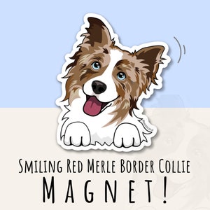 Red Merle Border Collie Magnet for Dog Lover Gift Border Collie Owner Gift Border Collie Decal Border Collie Car Sticker Border Collie Gift