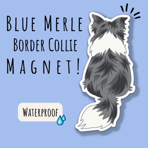 Border Collie Magnet Blue Merle Border Collie Car Magnet For Border Collie Lover Gift For Border Collie Owner Car Magnet For Dog Lover Decal