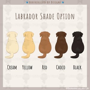 May include: Illustration of Labrador Retrievers in five different shades: cream, yellow, red, choco, and black. The text "LABRADOR SHADE OPTION" is displayed above the dogs, with the names of the colors below each dog.