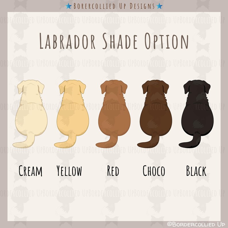 May include: Illustration of Labrador Retrievers in five different shades: cream, yellow, red, choco, and black. The text "LABRADOR SHADE OPTION" is displayed above the dogs, with the names of the colors below each dog.