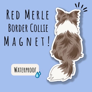 Red Merle Border Collie Magnet Border Collie Car Magnet For Dog Lover Car Sticker Border Collie Car Decal for Border Collie Owner Gift