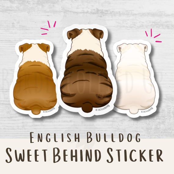 English Bulldog Sticker Personalized Bulldog Lover Gift Dog Laptop Sticker Water Bottle Decal Car Sticker Waterproof Bulldog Owner Gift