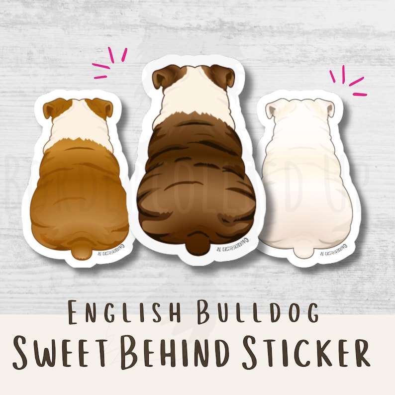 May include: Three stickers featuring the rear view of English Bulldogs in shades of brown and white. The stickers have a white border and the text "English Bulldog Sweet Behind Sticker" in a brown font.