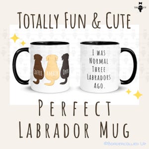 May include: A white ceramic mug with a black handle and rim. The mug features three Labrador silhouettes in brown, yellow, and black, labeled "Coffee," "Amber," and "Onyx." The other side reads "I WAS NORMAL THREE LABRADORS AGO."