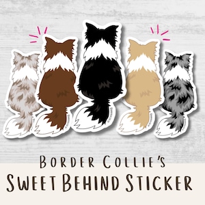Border Collie Sticker for Dog Lover Gift for Border Collie Owner Sticker for Dog Lover Gift for Border Collie Lover Border Collie Gift Decal
