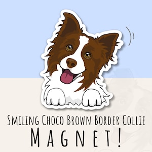 Smiling Border Collie Magnet