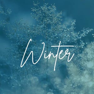 winter wallpaper