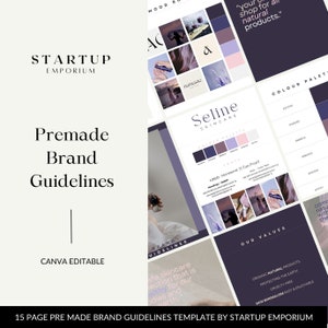 Brand Identity Guidelines Template: Pre-Made Branding