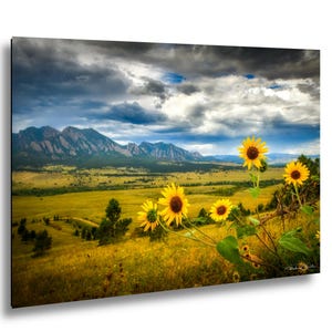 May include: A scenic landscape print featuring a field of sunflowers in full bloom. The sunflowers have bright yellow petals and dark brown centers. The background includes mountains, a grassy field, and a dramatic cloudy sky.