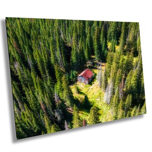 Colorado Cabin Wall Art - Aerial Forest Photo Print