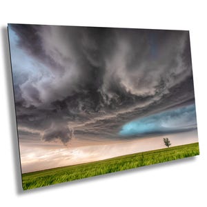Puede incluir: Un solo árbol se alza en un campo de hierba verde bajo un cielo dramático, oscuro y tormentoso. Las nubes giran y son amenazantes, con un toque de azul que se asoma.