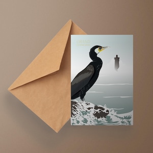 Cartes postales "Oiseaux de Bretagne"