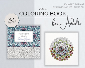 Pode incluir: Um livro para colorir para adultos com mais de 25 páginas. A capa apresenta um design de mandala colorido e o texto "Este livro para colorir pertence a Theresa Marie". O livro mede 21 cm x 21 cm.