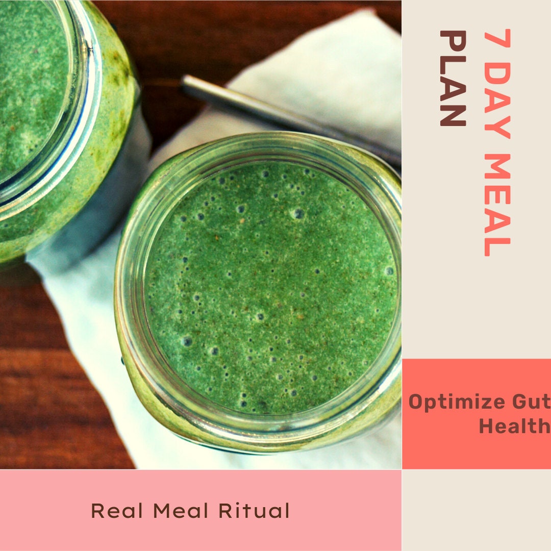 gut-healing-meal-plan-etsy