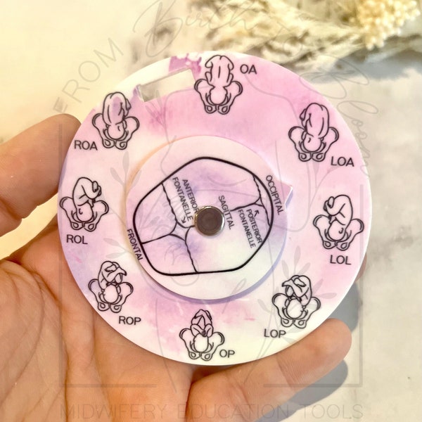 Mini outil de positionnement du fœtus en acrylique pour sages-femmes, étudiants sages-femmes, doulas, médecins, infirmières