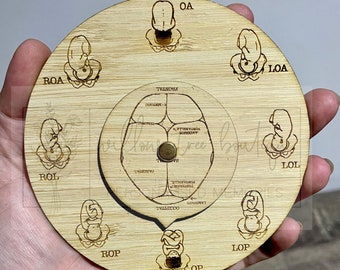 CEPHALIC Bamboo Midwifery Fetal Position Tool for Midwives, Student Midwives, Doula, Doctor, Nurses