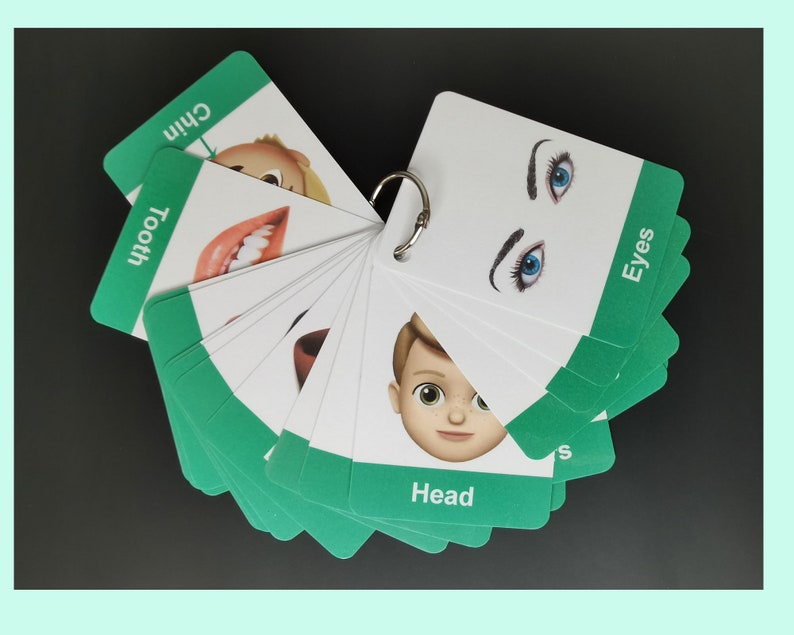 Human Body Parts Flashcards Body Parts Name Flashcards for Etsy UK