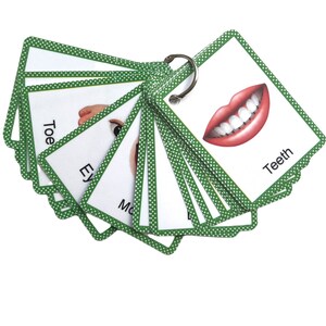 Op de afbeelding: Een set flashcards met een groene stippelrand, bijeengehouden door een metalen ring. Elke kaart toont een lichaamsdeel met zijn naam, zoals "Tanden", "Oog" en "Teen". De kaarten zijn wit met kleurrijke illustraties.