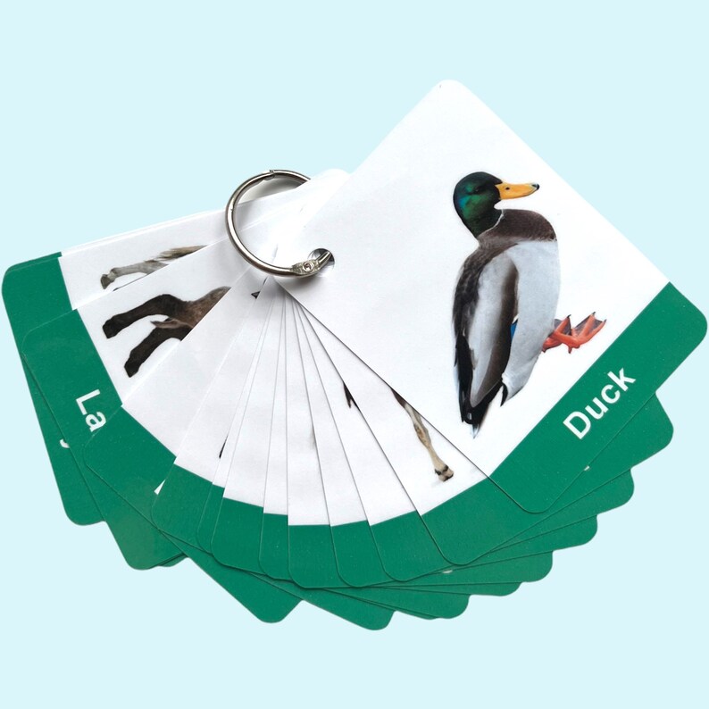 Farm Animals Flashcards for Toddlers Real Image Animal Etsy