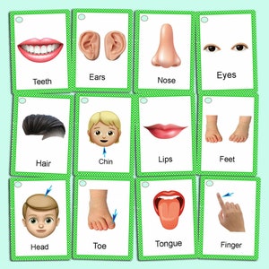 Op de afbeelding: Een set flashcards met groene randen, elk met een ander lichaamsdeel. De kaarten tonen afbeeldingen van tanden, oren, een neus, ogen, haar, een kin, lippen, voeten, een hoofd, een teen, een tong en een vinger. Elke kaart heeft de naam van het lichaamsdeel.