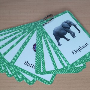 Op de afbeelding: Een set flashcards met dierenillustraties, bijeengehouden door een metalen ring. Elke kaart heeft een witte achtergrond met een groene stippelrand. De kaarten tonen afbeeldingen van dieren zoals een olifant en een vlinder, met de naam van het dier eronder.