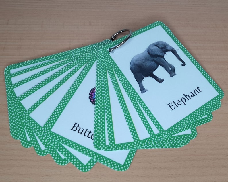 Op de afbeelding: Een set flashcards met dierenillustraties, bijeengehouden door een metalen ring. Elke kaart heeft een witte achtergrond met een groene stippelrand. De kaarten tonen afbeeldingen van dieren zoals een olifant en een vlinder, met de naam van het dier eronder.