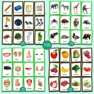 Op de afbeelding: Een verzameling flashcards met afbeeldingen en woorden. De kaarten tonen illustraties van objecten, dieren, lichaamsdelen en voedsel. De set bevat kaarten met de nummers 25 en 100. De woorden zijn in het Engels.