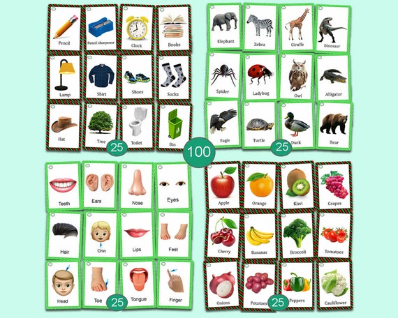 Toddler Flashcards, First 100 Words, Educational Learning