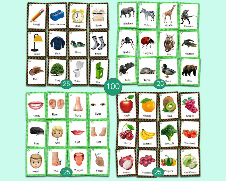 Op de afbeelding: Een verzameling flashcards met afbeeldingen en woorden. De kaarten tonen illustraties van objecten, dieren, lichaamsdelen en voedsel. De set bevat kaarten met de nummers 25 en 100. De woorden zijn in het Engels.