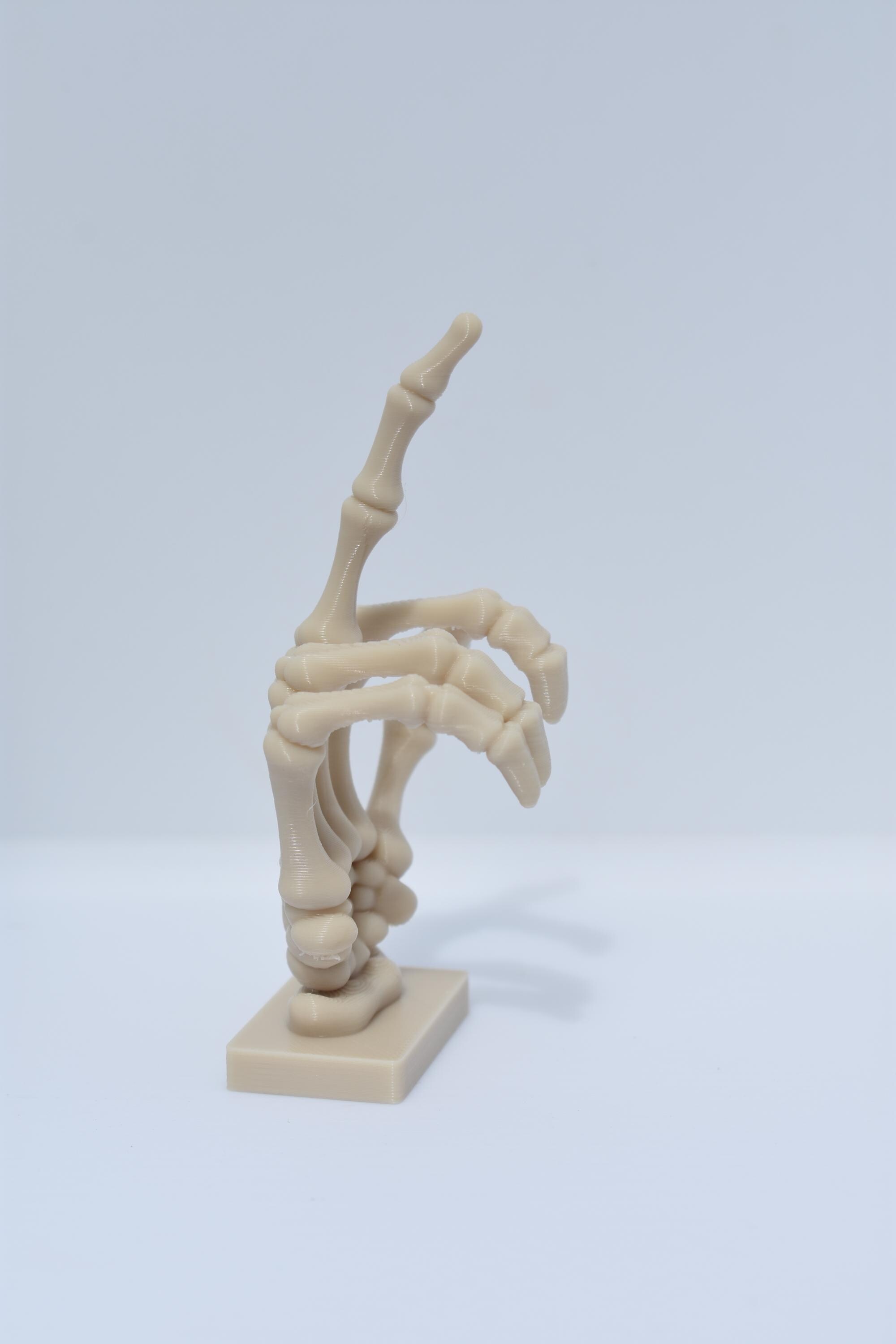 Skeletal Finger - Digital File and Commercial License, 3mf, STL Model ...