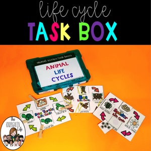 May include: A green plastic storage box with the words "Animal Life Cycles" on the lid. The box contains four colorful cards with images and text about the life cycles of a sea turtle, bat, spider, and butterfly.