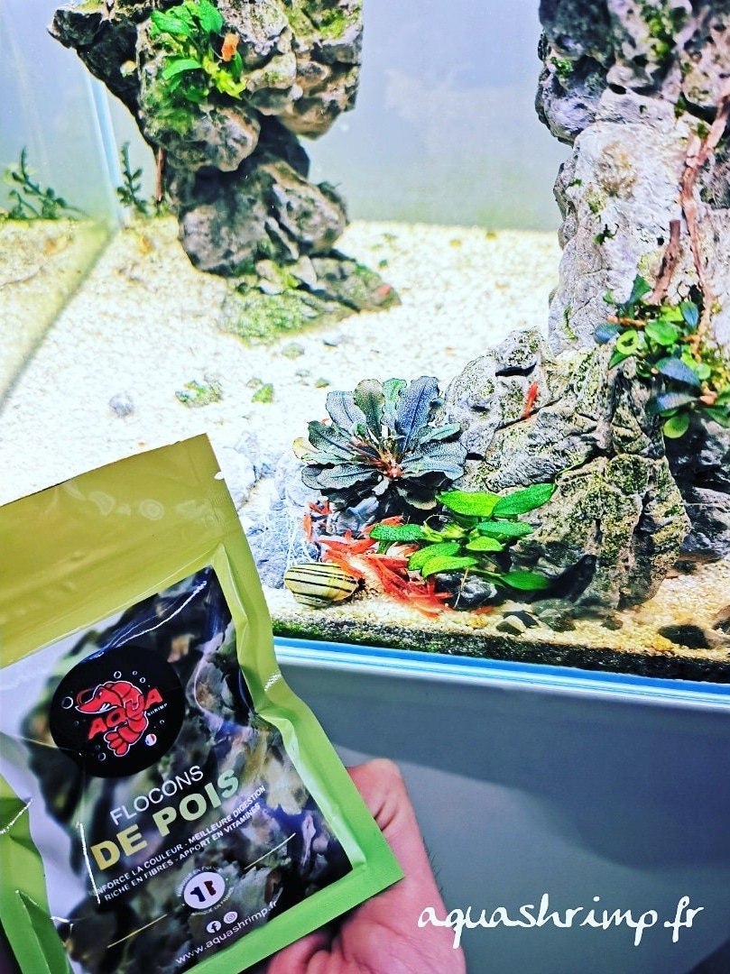 Pea Flake -Shrimpfood -Shrimp Food -Red Cherry - Live Shrimp - Fishtank