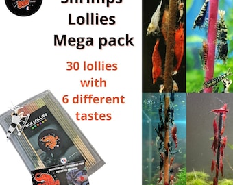 Shrimp Lollies Feed sticks Food - Lollies - set of 30 lollies - mega pack lollies - red cherry - Shrimpfood