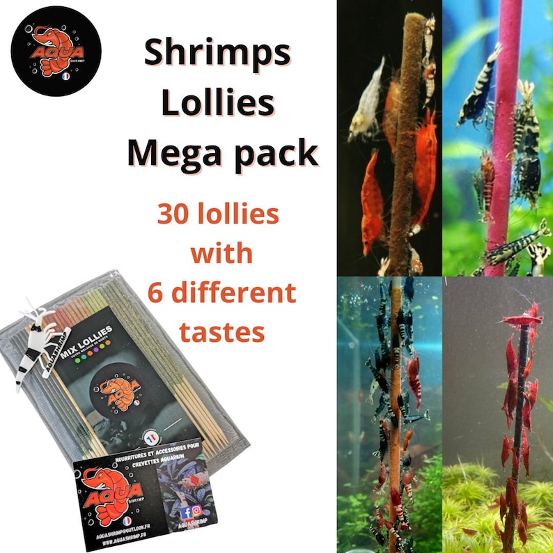 Shrimp Lollies Feed sticks Food Lollies set of 30 lollies mega pack lollies red cherry Shrimpfood image 1