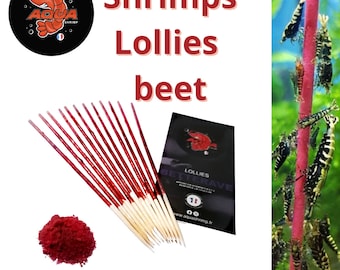 Shrimp Lollies Futtersticks Futterrüben - Lollies Garnelen Bio-Aquarienrüben - Futter für Garnelen - selbstgemacht