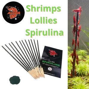 Gamberetti Lecca-lecca acquario biologico spirulina - Gamberetti Lecca-lecca Bastoncini di mangime Cibo gamberetti Lecca-lecca cibo per gamberetti - fatto in casa