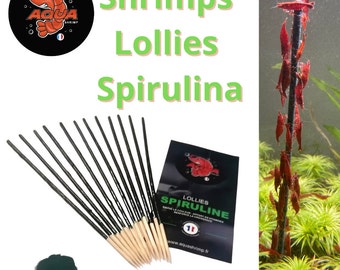Lollies shrimp organic aquarium spirulina - Shrimp Lollies Feed sticks Food Shrimp Lollies food for shrimp - homemade
