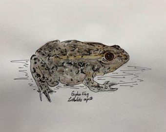 Endagered Species Watercolor: Gopher Frog