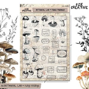 以下が含まれることがあります： A5サイズの「Botanical Lab - Fungi Findings」シート。キノコのイラストとラベルが描かれています。シートの幅は15.24cm、高さは20.32cmです。「Botanical Lab - Fungi Findings」と「Fox Creative」の文字が含まれています。