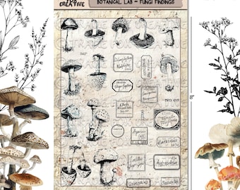 Botanical Lab – Identification Set - Victorian Handwritten Labels ...