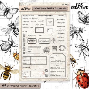 May include: A sheet of paper titled Entomology Passport Elements featuring black ink illustrations of various insects including butterflies, bees, beetles, and a ladybug. The central document contains fields for specimen data, stamps, and text labels.