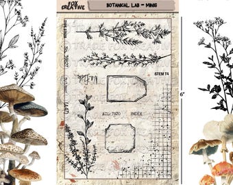 May include: A6 Botanical Lab - Minis stamp set. The stamp set features botanical illustrations, including sprigs, labels, and a grid pattern. The set measures 4 inches wide and 6 inches high.