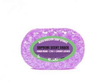 SOAP SPONGES - SCENTED