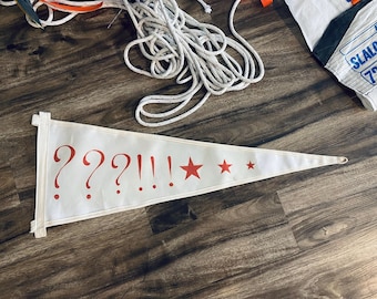 What the Hell?! Pennant Flag
